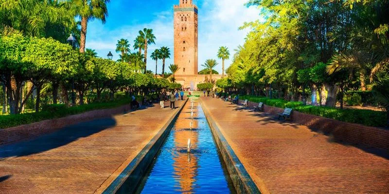 Edelweiss Airlines Marrakech Office In Morocco