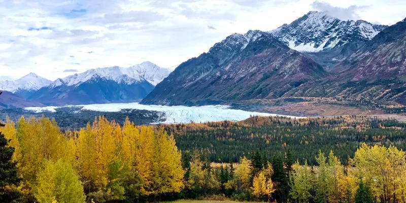 Porter Airlines Alaska Office