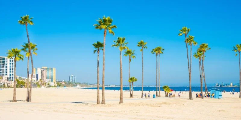 Porter Airlines Long Beach Office in California